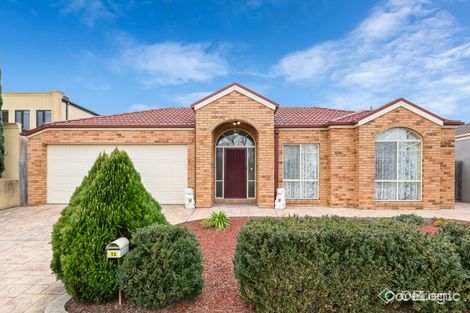 Property photo of 16 Treeby Boulevard Mordialloc VIC 3195