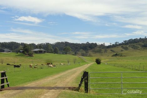 693 Collins Creek Rd, Fawcetts Plain, NSW 2474