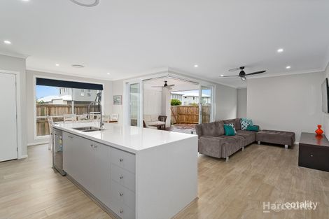 Property photo of 74 Brindabella Street Newport QLD 4020