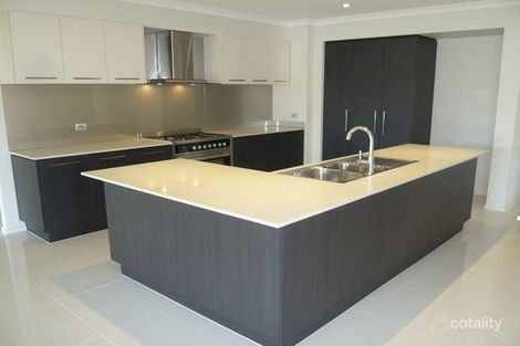 Property photo of 20 Hickory Street Carseldine QLD 4034