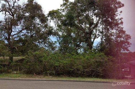 Property photo of 44 Whitbread Drive Lemon Tree Passage NSW 2319