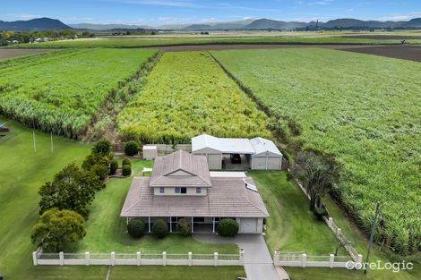 Property photo of 25 Branscombe Road Walkerston QLD 4751