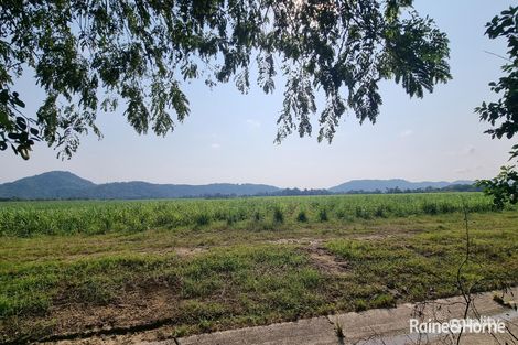 66 Alchera Dr, Mossman, QLD 4873