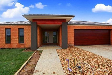 Property photo of 19 Chevrolet Road Cranbourne East VIC 3977