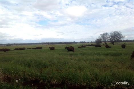 1331 Malakoff-Kaimkillenbun Rd, Kaimkillenbun, QLD 4406