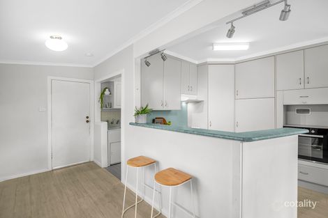Property photo of 31 Cobby Street Shortland NSW 2307