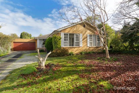 Property photo of 113 Lawrence Road Mount Waverley VIC 3149