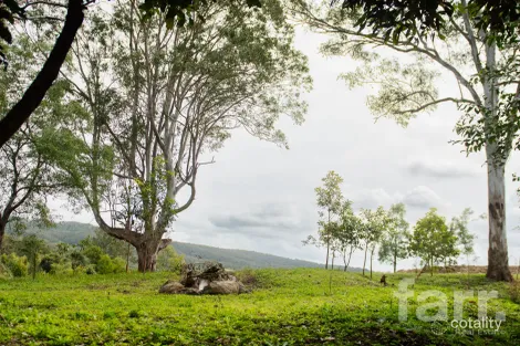 Property photo of 19 Charlotte Place Benobble QLD 4275