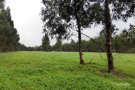 Property photo of 248 Munetta Road Pages Flat SA 5172