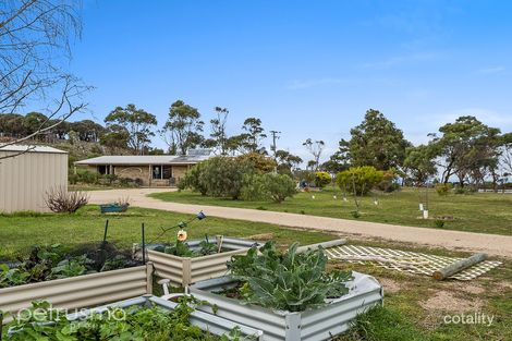 Property photo of 10 Kennedia Place Swansea TAS 7190