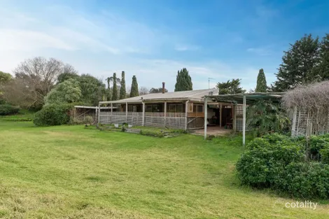 Property photo of 221 Maxwell Road Fingal VIC 3939
