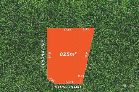 Property photo of 118 Sturt Road Warradale SA 5046