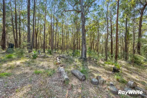 Property photo of 49 Spring Place Bingie NSW 2537