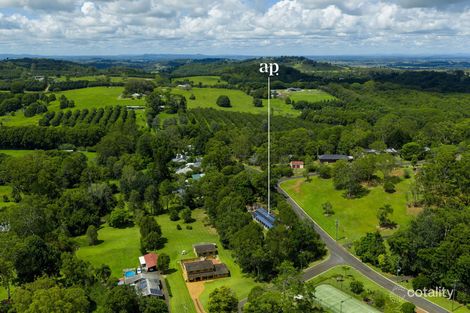 Property photo of 1 Willow Tree Drive Chilcotts Grass NSW 2480