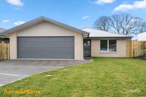19 Rodway Ct, Kingston, TAS 7050