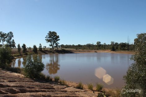 160l Donnelly Rd, Eumungerie, NSW 2822