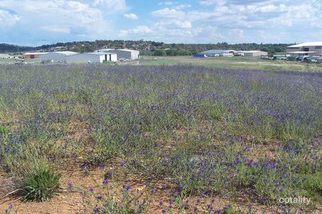 55 Astill Dr, Orange, NSW 2800