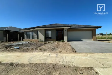 Property photo of 19 Gilmour Crescent Kialla VIC 3631