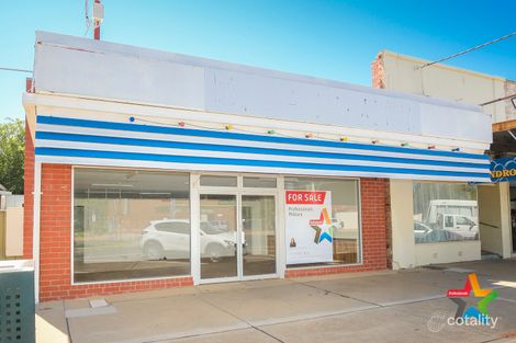 65 Ilex St, Red Cliffs, VIC 3496