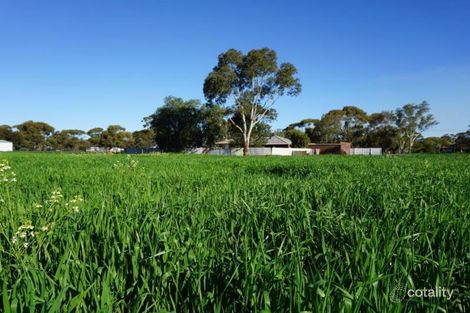 Property photo of 44 Riley Road Moora WA 6510