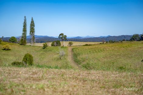255 Newee Creek Rd, Newee Creek, NSW 2447