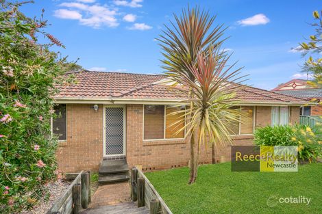 Property photo of 19/91 Douglas Street Wallsend NSW 2287