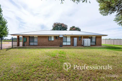 Property photo of 225 Stewart Road Red Cliffs VIC 3496