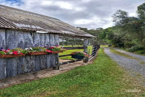 318 Crossland Rd, Gordonvale, QLD 4865