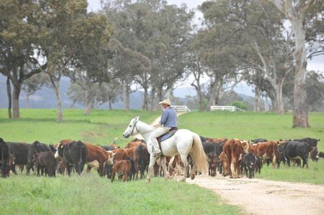 6133 New England Hwy, Bolivia, NSW 2372