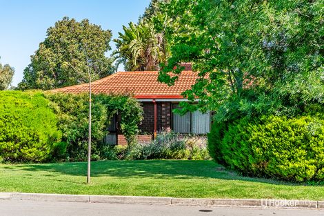 Property photo of 14 Chapman Crescent Redwood Park SA 5097