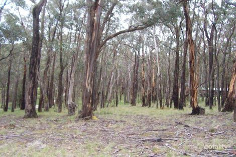 Lot 12 Cowans Dr, Dales Creek, VIC 3341
