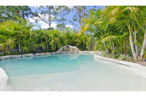 Property photo of 36 The Domain Nerang QLD 4211