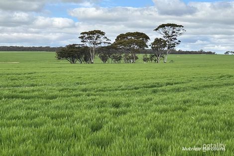 1255 Kukerin Rd S, South Kukerin, WA 6352