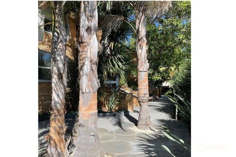 Property photo of 5/13 Coleridge Street Elwood VIC 3184