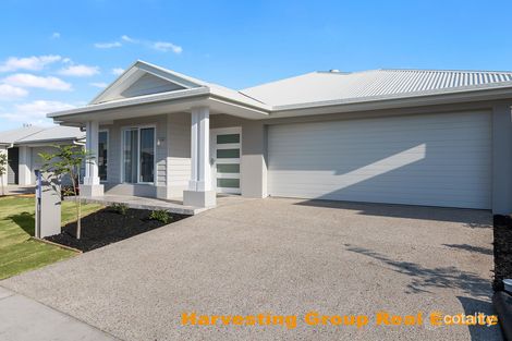 Property photo of 17 Madeleine Street Nirimba QLD 4551