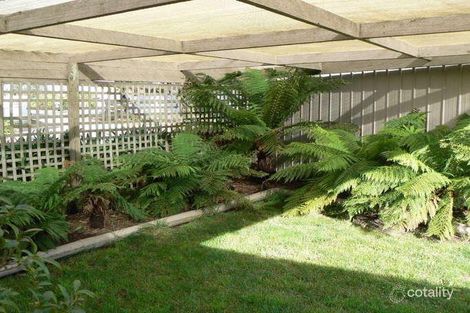Property photo of 11 Clark Street Colac VIC 3250
