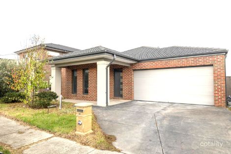 41 Dingo St, Point Cook, VIC 3030