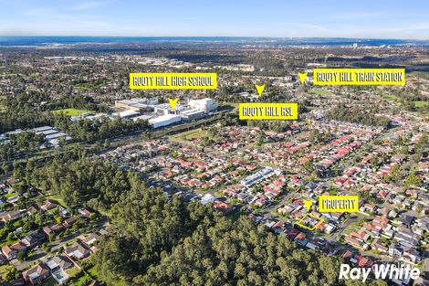 Property photo of 47 Acropolis Avenue Rooty Hill NSW 2766