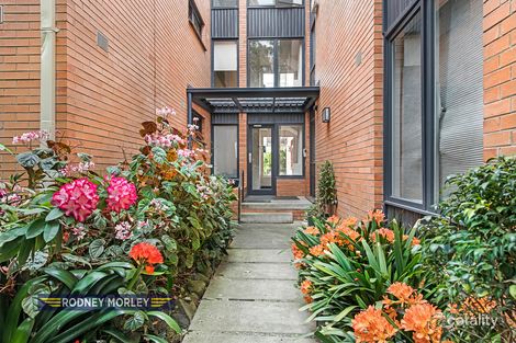 Property photo of 16/4 Glyndebourne Avenue Toorak VIC 3142