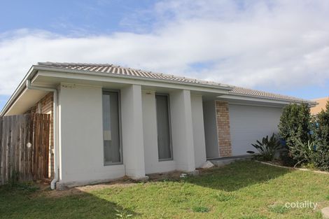 Property photo of 53 Baden Jones Way North Booval QLD 4304