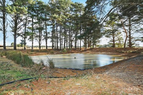 Property photo of 420 Gribbles Road Jancourt East VIC 3266