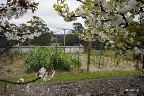 Property photo of 110 Cornicks Road Spreyton TAS 7310
