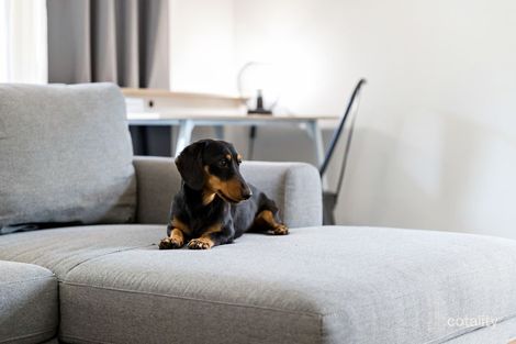 Property photo of 238 Barrett Street Bracken Ridge QLD 4017