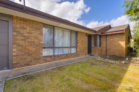 Property photo of 9 Warrandyte Drive Craigie WA 6025