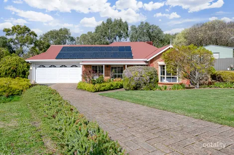 Property photo of 11 Bendigo Close Trott Park SA 5158