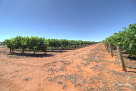 50 Eastern Rd, Monash, SA 5342