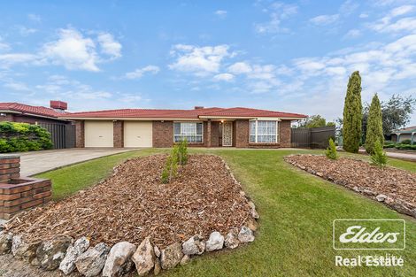13 Bluebell Lane, Blakeview, SA 5114