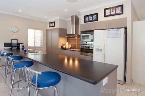 Property photo of 74 Petrie Crescent Aspley QLD 4034