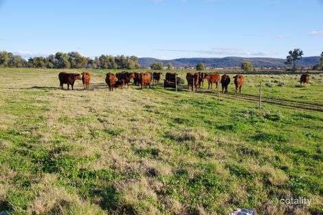 207 Henriendi Lane, Baan Baa, NSW 2390