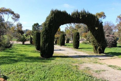 Property photo of 331 River Road Nyah VIC 3594